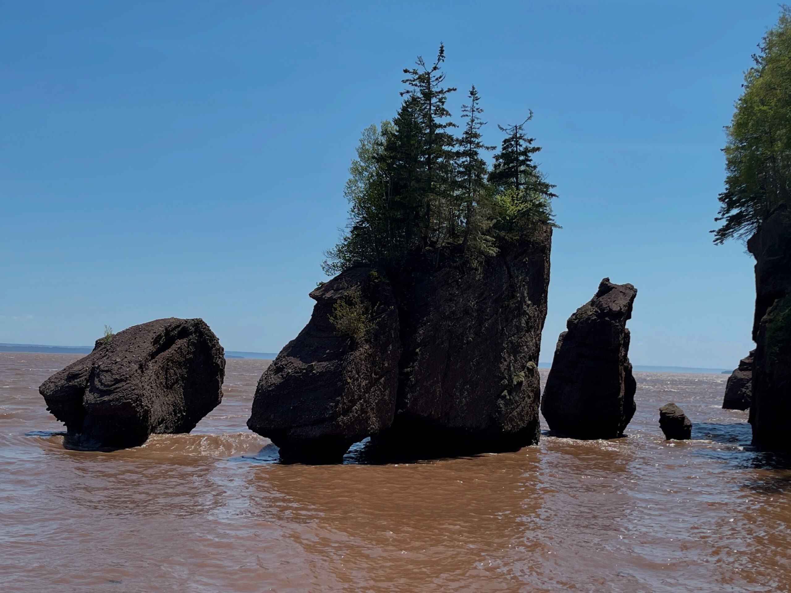 Bay of Fundy at high tide