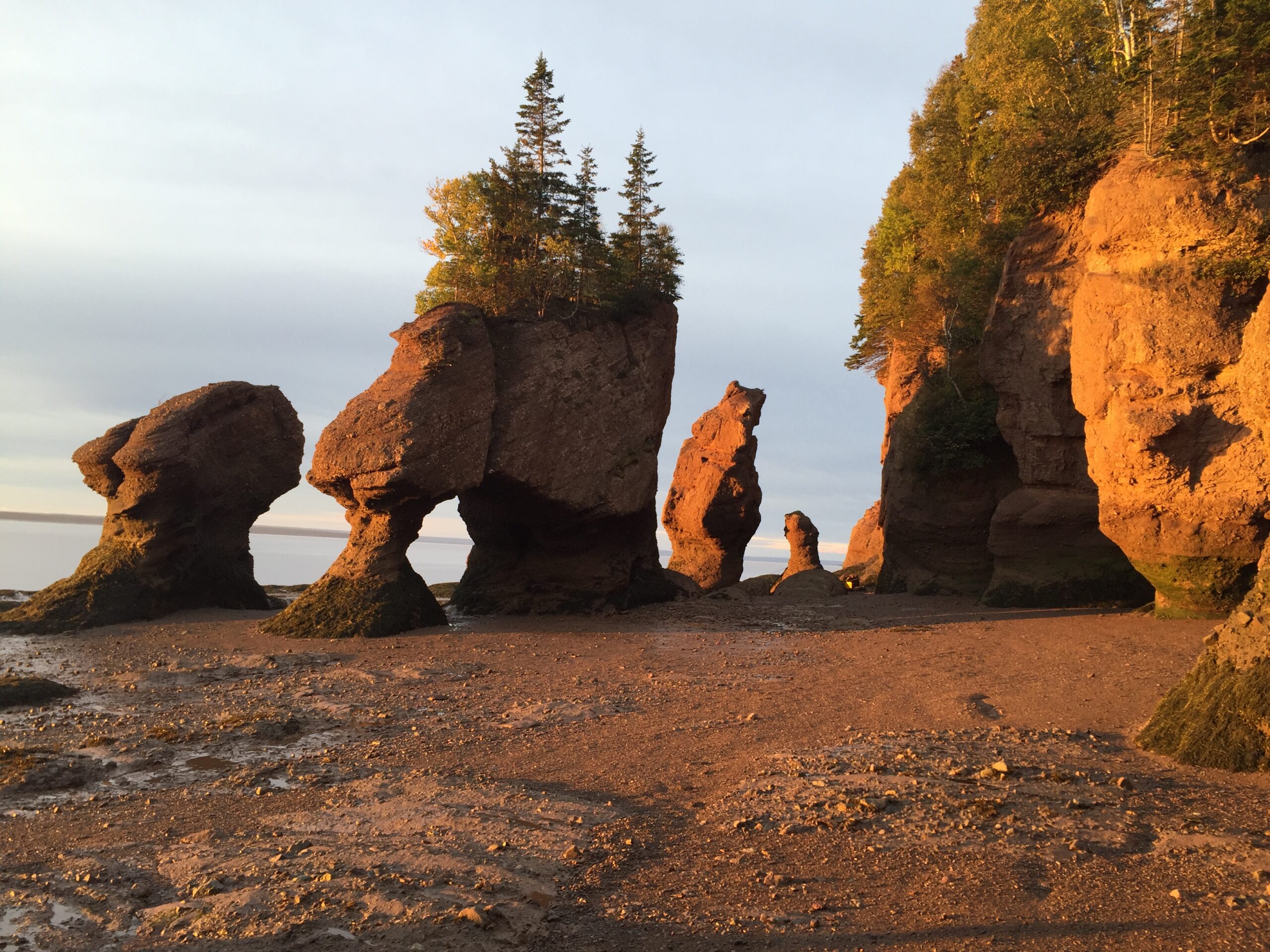 Bay of Fundy at low tide
