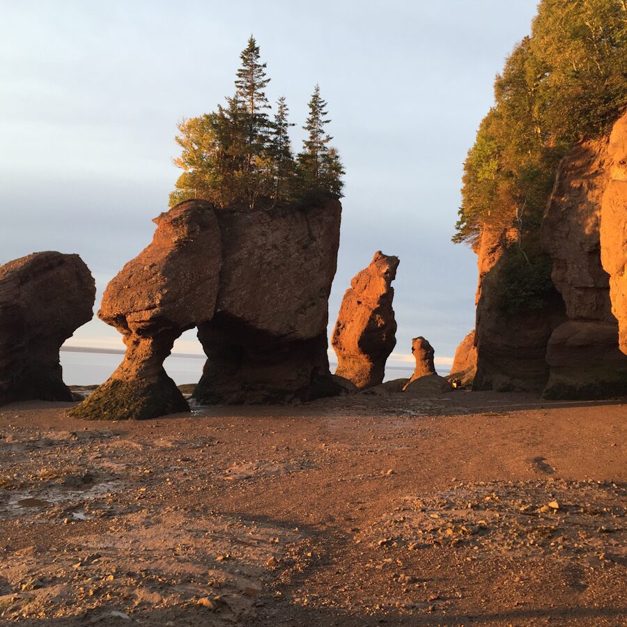 Bay of Fundy at low tide
