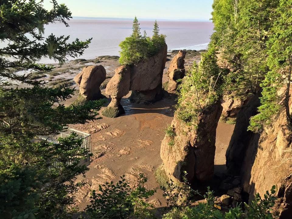 Bay of Fundy at low tide